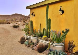 Joshua Tree Oasis I Desert retreat with hot tub, BBQ & backyard trail access - Joshua Tree - 1