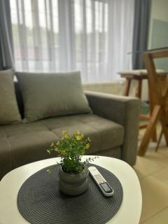 Apartmani Star - Tuzla - 9