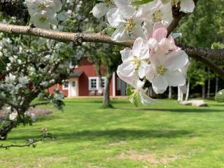 Lodge in natuurreservaat - 8