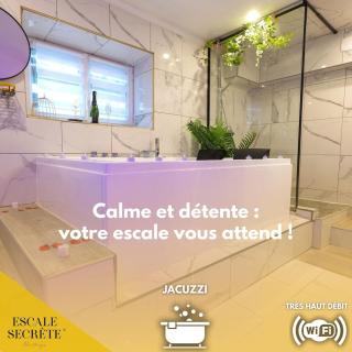 Escale secrète Montargis Jacuzzi Appart Climatisé Parking gratuit - 0