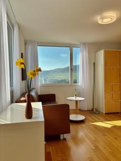 Appenzellerland, 2 Zimmer Ferienwohnung mit Aussicht - 6