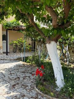 Eleni Guesthouse Sivota - Sivota - 7