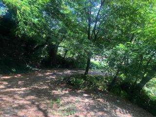 FORET proche centre ville - Nice - 6