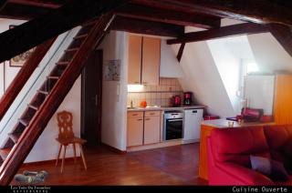 Les Toits du Tonnelier - 64 m2 - situation plein centre médiéval - sauna - 2 garages - Kaysersberg - 1