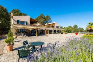 Es Puig de Ses Coves - Santa Eugenia - 8
