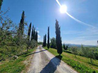 Le Crete Senesi - Asciano - 7