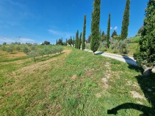 Le Crete Senesi - Asciano - 8