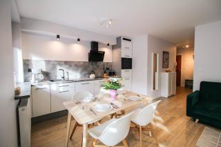 Apartament City Center Comfort Suite - Luxury Standard - Krynica-Zdrój - 7
