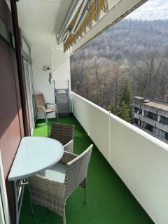 Waldtraum Schwimmbad Sauna Kinderbett wandern - Bad Harzburg - 6