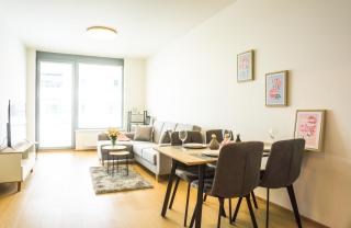 Waltrovka One bed room apartment - Praga - 4