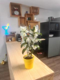Appartement rétro nature avec jardin 15 min Toulouse centre - Saint-Geniès-Bellevue - 2