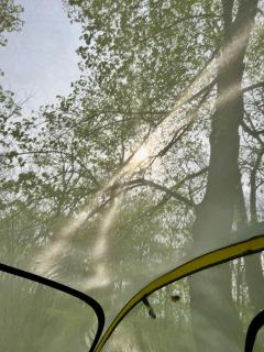 Baumzelt auf Bio-Bauernhof im Natur- und Sternenpark - - 6