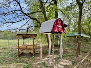 Baumzelt auf Bio-Bauernhof im Natur- und Sternenpark - - 5