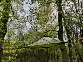 Baumzelt auf Bio-Bauernhof im Natur- und Sternenpark - - 8
