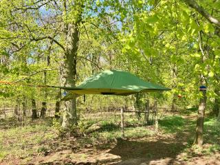 Baumzelt auf Bio-Bauernhof im Natur- und Sternenpark - - 7