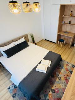 Central Apartment - Palas Mall - 4