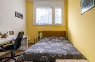 Ampia stanza privata in zona Città Studi - Milan - 9