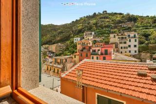 Blue Lemon, TerreMarine - Riomaggiore - 7
