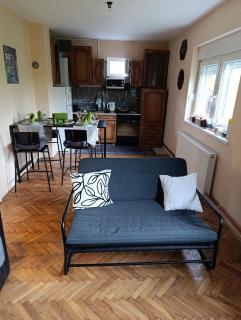 Peaceful House with Garden - Smederevo - 2