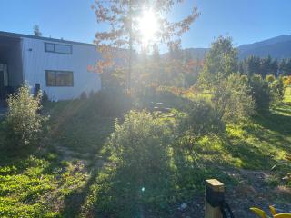 The Treehouse Branch - Hanmer Springs - 9