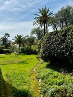 Parc Montfleury - Cannes - 2