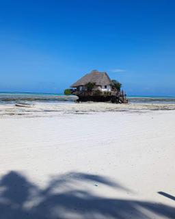 G&H house Zanzibar - Pingwe - 7