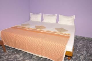 Classic Homestay - New Hampi - 8