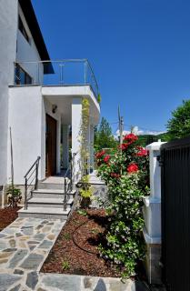 Pensiune CARLA - Sărata-Monteoru - 5