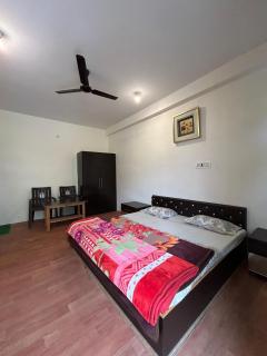 dhauladhar view homestay - Minkiānī - 4