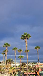 Casa Remo - Palm-mar - 9