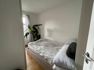 Lovely apartment in Frederiksberg - Copenaghen - 6