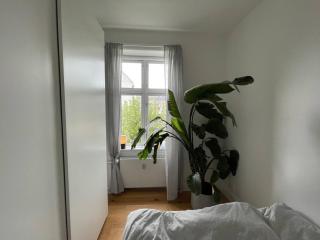 Lovely apartment in Frederiksberg - Copenaghen - 4