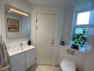 Lovely apartment in Frederiksberg - Copenaghen - 2
