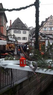 Gîte Eau-Vive, à 15kms de Colmar - 2