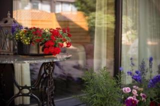 vivere ad parcum - " M O R I T Z " - Krefeld - 2