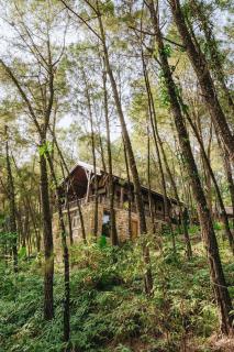 Do Luong Legend Camping & Resort - Kon Rung (1) - 3