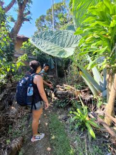 Ida Guest House & JUNGLE TREKKING - Bukit Lawang - 6