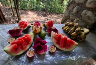 Ida Guest House & JUNGLE TREKKING - Bukit Lawang - 7
