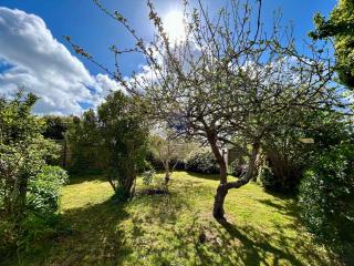 Lovely family house near the sea for 8 - Plestin-les-Grèves - 3