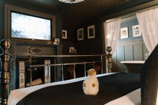 Sheddington Manor - 2 Bedroom Guest House & Cinema - Belfast - 2