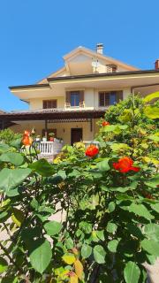 Vizion Hotel - Shkodër - 9