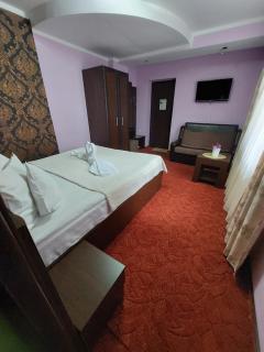Casa Rosca Busteni - Buşteni - 3