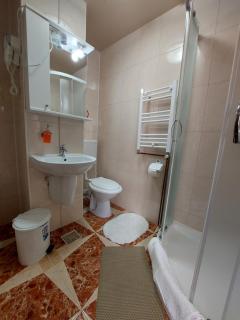 Casa Rosca Busteni - Buşteni - 5