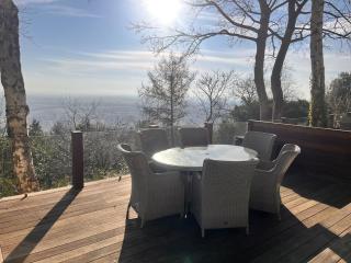Ivydene Luxury Cottage with Covered Hot Tub - 1