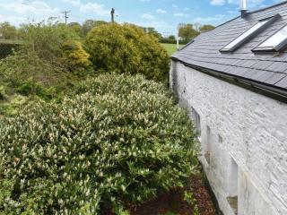 The Coach House - Uk49601 - Lifton - 1