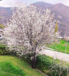 Cascina Bruna, un paradiso in Val Trebbia - Bobbio - 3
