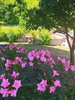 Cascina Bruna - Casa vacanze con vista e giardino a Bobbio, Val Trebbia - 2