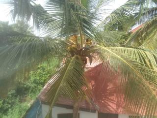 Jallow and Bah kunda village - 1