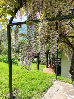 Ca' del Livello - country chic retreat with garden overlooking mountains - Canzo - 4