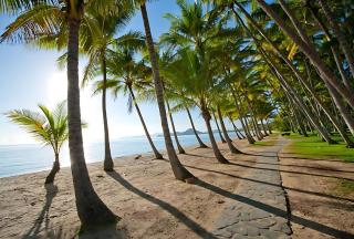 Vista Verde - A Temple Resort Family Treasure - Palm Cove - 5